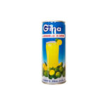 CALAMANSI JUICE  GINA  240ml