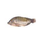 TILAPIA ENTERA /Kg