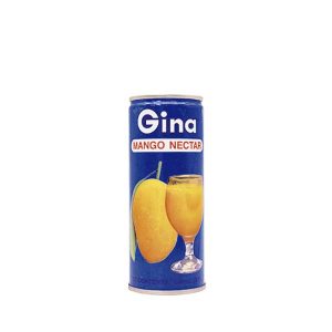 MANGO NECTAR GINA 240ml